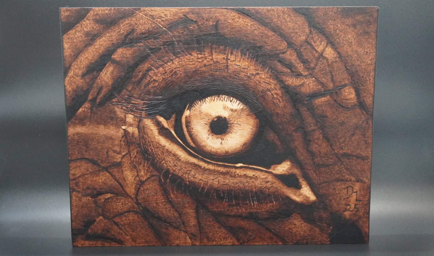 Eye of the Elephant - Handburned Realism Art