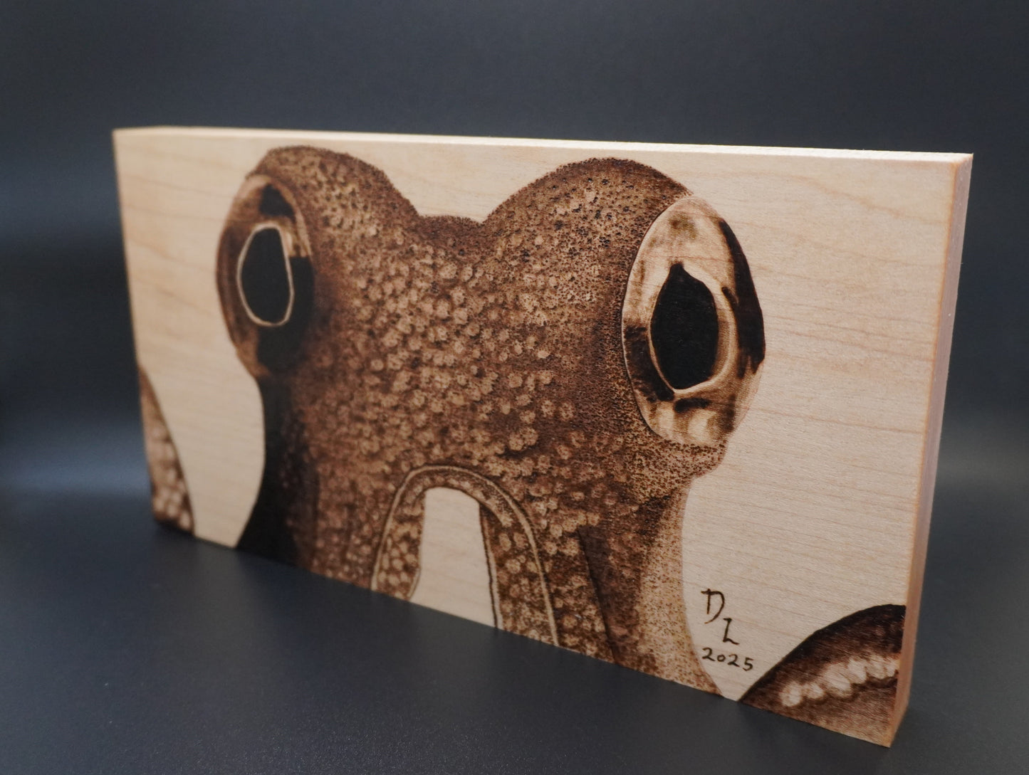 Eyes of the Octopus - Handburned Realism Art