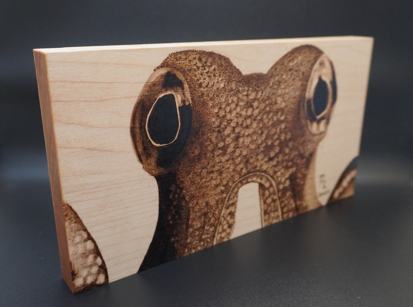 Eyes of the Octopus - Handburned Realism Art