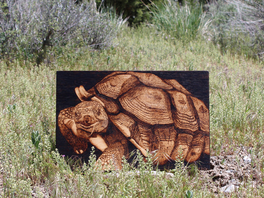 Tortoise Handburned Realism Wood Art