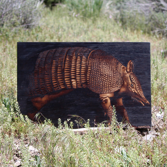 Armadillo Handburned Realism Wood Art