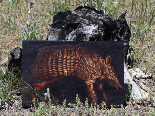 Armadillo Handburned Realism Wood Art