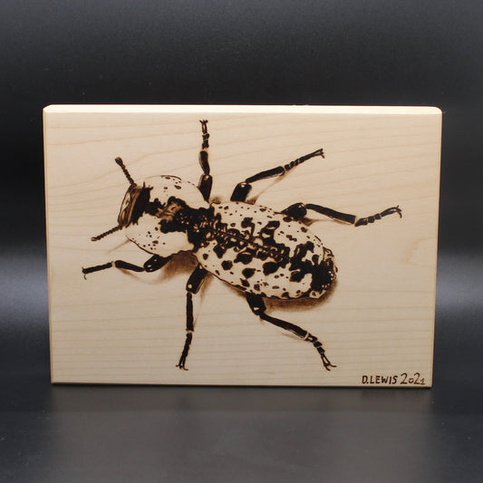 Ironclad Beetle Handburned Realism Wood Art